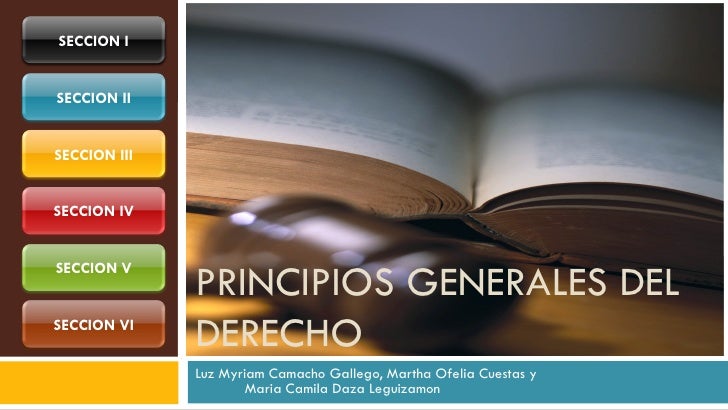 Principios generales del derecho. introducción al derecho