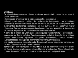 Utilidades
En el análisis de muestras clínicas suele ser un estudio fundamental por cumplir
varias funciones:
Identificación preliminar de la bacteria causal de la infección.
Utilidad como control calidad del aislamiento bacteriano. Los morfotipos
bacterianos identificados en la tinción de Gram se deben de corresponder con
aislamientos bacterianos realizados en los cultivos. Si se observan mayor
número de formas bacterianas que las aisladas hay que reconsiderar los medios
de cultivos empleados así como la atmósfera de incubación.
A partir de la tinción de Gram pueden distinguirse varios morfotipos distintos: Los
cocos son de forma esférica. Pueden aparecer aislados después de la división
celular (Micrococos), aparecer por pares (Diplococos), formar cadenas
(Estreptococos), o agruparse de manera irregular (Estafilococos).
Los bacilos poseen forma alargada. En general suelen agruparse en forma de
cadena (Estreptobacilos) o en empalizada.
También pueden distinguirse los espirales, que se clasifican en espirilos si son
de forma rígida o espiroquetas si son blandas y onduladas. Si por el contrario,
poseen forma de "coma", o curvados, entonces se los designa vibrios.
 