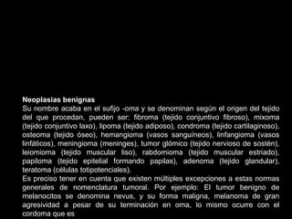 Neoplasias benignas
Su nombre acaba en el sufijo -oma y se denominan según el origen del tejido
del que procedan, pueden ser: fibroma (tejido conjuntivo fibroso), mixoma
(tejido conjuntivo laxo), lipoma (tejido adiposo), condroma (tejido cartilaginoso),
osteoma (tejido óseo), hemangioma (vasos sanguíneos), linfangioma (vasos
linfáticos), meningioma (meninges), tumor glómico (tejido nervioso de sostén),
leiomioma (tejido muscular liso), rabdomioma (tejido muscular estriado),
papiloma (tejido epitelial formando papilas), adenoma (tejido glandular),
teratoma (células totipotenciales).
Es preciso tener en cuenta que existen múltiples excepciones a estas normas
generales de nomenclatura tumoral. Por ejemplo: El tumor benigno de
melanocitos se denomina nevus, y su forma maligna, melanoma de gran
agresividad a pesar de su terminación en oma, lo mismo ocurre con el
cordoma que es
 