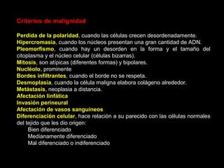 Criterios de malignidad
Perdida de la polaridad, cuando las células crecen desordenadamente.
Hipercromasia, cuando los núcleos presentan una gran cantidad de ADN.
Pleomorfismo, cuando hay un desorden en la forma y el tamaño del
citoplasma y el núcleo celular (células bizarras).
Mitosis, son atípicas (diferentes formas) y bipolares.
Nucléolo, prominente
Bordes infiltrantes, cuando el borde no se respeta.
Desmoplasia, cuando la célula maligna elabora colágeno alrededor.
Metástasis, neoplasia a distancia.
Afectación linfática
Invasión perineural
Afectación de vasos sanguíneos
Diferenciación celular, hace relación a su parecido con las células normales
del tejido que les dio origen:
Bien diferenciado
Medianamente diferenciado
Mal diferenciado o indiferenciado
 