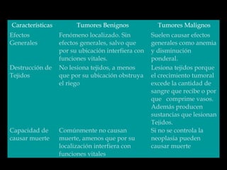 Características Tumores Benignos Tumores Malignos
Efectos
Generales
Fenómeno localizado. Sin
efectos generales, salvo que
por su ubicación interfiera con
funciones vitales.
Suelen causar efectos
generales como anemia
y disminución
ponderal.
Destrucción de
Tejidos
No lesiona tejidos, a menos
que por su ubicación obstruya
el riego
Lesiona tejidos porque
el crecimiento tumoral
excede la cantidad de
sangre que recibe o por
que comprime vasos.
Además producen
sustancias que lesionan
Tejidos.
Capacidad de
causar muerte
Comúnmente no causan
muerte, amenos que por su
localización interfiera con
funciones vitales
Si no se controla la
neoplasia pueden
causar muerte
 