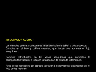 INFLAMACION AGUDA
Los cambios que se producen tras la lesión tisular se deben a tres procesos:
Cambios en el flujo y calibre vascular, que hacen que aumente el flujo
sanguíneo.
Cambios estructurales en los vasos sanguíneos que aumentan la
permeabilidad vascular e inducen la formación de exudado inflamatorio.
Paso de los leucocitos del espacio vascular al extravascular alcanzando así el
foco de las lesiones.
 