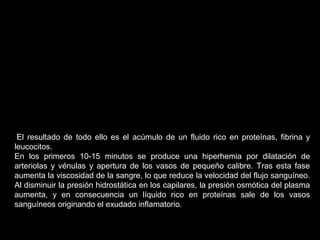 El resultado de todo ello es el acúmulo de un fluido rico en proteínas, fibrina y
leucocitos.
En los primeros 10-15 minutos se produce una hiperhemia por dilatación de
arteriolas y vénulas y apertura de los vasos de pequeño calibre. Tras esta fase
aumenta la viscosidad de la sangre, lo que reduce la velocidad del flujo sanguíneo.
Al disminuir la presión hidrostática en los capilares, la presión osmótica del plasma
aumenta, y en consecuencia un líquido rico en proteínas sale de los vasos
sanguíneos originando el exudado inflamatorio.
 