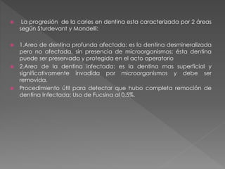  La progresión de la caries en dentina esta caracterizada por 2 áreas 
según Sturdevant y Mondelli: 
 1.Area de dentina profunda afectada: es la dentina desmineralizada 
pero no afectada, sin presencia de microorganismos; ésta dentina 
puede ser preservada y protegida en el acto operatorio 
 2.Area de la dentina infectada: es la dentina mas superficial y 
significativamente invadida por microorganismos y debe ser 
removida. 
 Procedimiento útil para detectar que hubo completa remoción de 
dentina Infectada: Uso de Fucsina al 0,5%. 
 