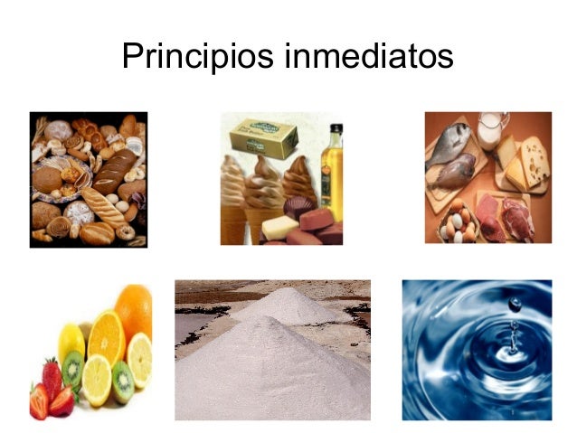 Principios inmediatos pp