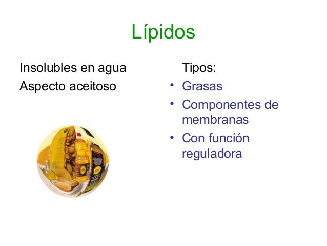 Principios Inmediatos Insolubles En Agua Con Aspecto Aceitoso O Graso