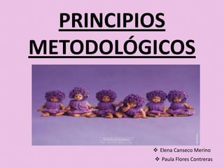 PRINCIPIOS
METODOLÓGICOS



          Elena Canseco Merino
          Paula Flores Contreras
 