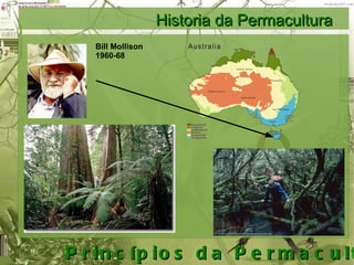 Historia da Permacultura Bill Mollison 1960-68
