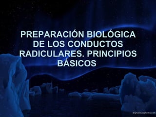 PREPARACIÓN BIOLÓGICA DE LOS CONDUCTOS RADICULARES. PRINCIPIOS BÁSICOS   