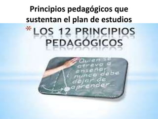 Principios pedagógicos que
sustentan el plan de estudios

 