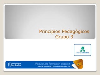 Principios Pedagógicos Grupo 3 