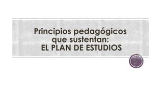 Principios pedagógicos 
que sustentan: 
EL PLAN DE ESTUDIOS 
 