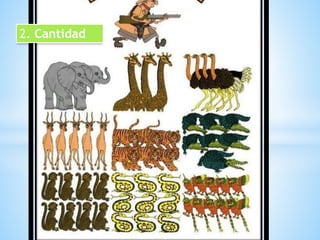 2. Cantidad 
 