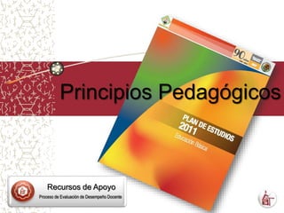 Principios Pedagógicos
Recursos de Apoyo
Proceso de Evaluación de Desempeño Docente
 