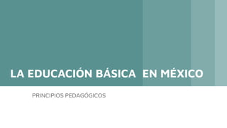 LA EDUCACIÓN BÁSICA EN MÉXICO
PRINCIPIOS PEDAGÓGICOS
 