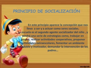 En este principio aparece la concepción que nos
lleva a ser y a actuar como seres sociales.
La escuela es el segundo agente socializador del niño , y
tendrá una serie de estrategias como, trabajar en
grupos, realizar actividades cooperativas, proponer
actividades extraescolares, fomentar un ambiente
agradable y motivador, demandar la intervención de los
padres…
PRINCIPIO DE SOCIALIZACIÓN
 