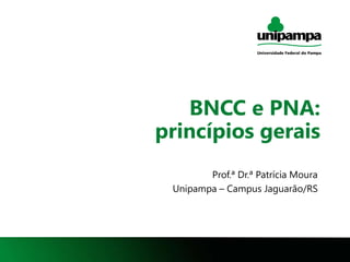 1
BNCC e PNA:
princípios gerais
Prof.ª Dr.ª Patrícia Moura
Unipampa – Campus Jaguarão/RS
 