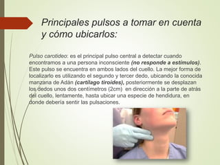 Principales pulsos a tomar en cuenta
y cómo ubicarlos:
Pulso carotideo: es el principal pulso central a detectar cuando
encontramos a una persona inconsciente (no responde a estímulos).
Este pulso se encuentra en ambos lados del cuello. La mejor forma de
localizarlo es utilizando el segundo y tercer dedo, ubicando la conocida
manzana de Adán (cartílago tiroides), posteriormente se desplazan
los dedos unos dos centímetros (2cm) en dirección a la parte de atrás
del cuello, lentamente, hasta ubicar una especie de hendidura, en
donde debería sentir las pulsaciones.
 