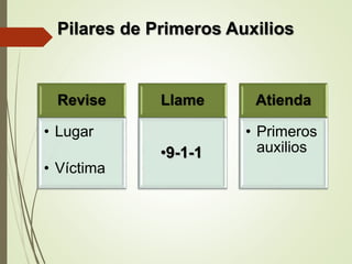 Pilares de Primeros Auxilios
Revise
• Lugar
• Víctima
Llame
•9-1-1
Atienda
• Primeros
auxilios
 