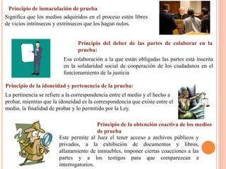 Principio de inmaculación de prueba
Significa que los medios adquiridos en el proceso estén libres
de vicios intrínsecos y extrínsecos que los hagan nulos.
Principio del deber de las partes de colaborar en la
prueba:
Esa colaboración a la que están obligadas las partes está inscrita
en la solidaridad social de cooperación de los ciudadanos en el
funcionamiento de la justicia
Principio de la idoneidad y pertenencia de la prueba:
La pertinencia se refiere a la correspondencia entre el medio y el hecho a
probar, mientras que la idoneidad es la correspondencia que existe entre el
medio, la finalidad de probar y lo permitido por la Ley.
Principio de la obtención coactiva de los medios
de prueba
Este permite al Juez el tener acceso a archivos públicos y
privados, a la exhibición de documentos y libros,
allanamiento de inmuebles, imponer ciertas coacciones a las
partes y a los testigos para que comparezcan a
interrogatorios.
 