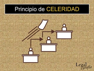 Principio de CELERIDAD
 