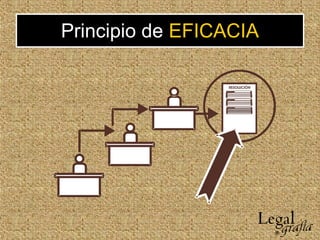 Principio de EFICACIA
 