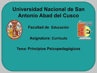 Universidad Nacional de San
Antonio Abad del Cusco
Facultad de Educación
Asignatura: Currículo
Tema: Principios Psicopedagógicos
 