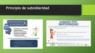 Principio de subsidiaridad
 