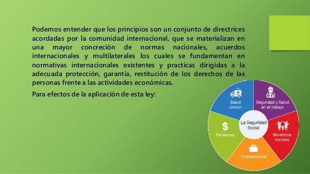 Principios rectores