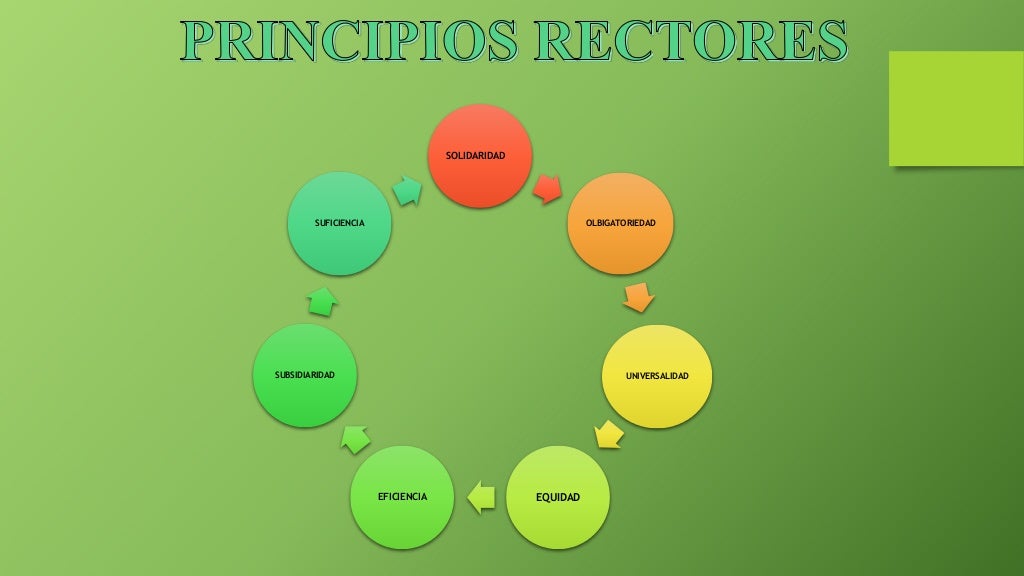 Los Principios Rectores Fueron Redactados Por www.vrogue.co