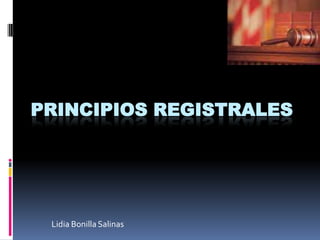 PRINCIPIOS REGISTRALES Lidia Bonilla Salinas 