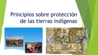Principios sobre protección
de las tierras indígenas
 