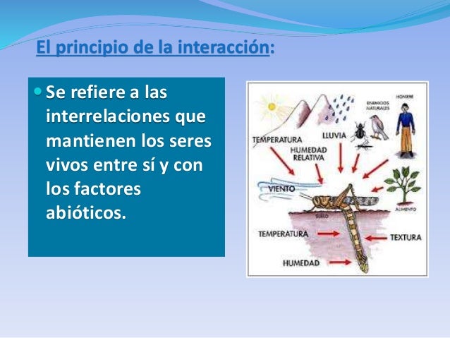 Principios unificadores de la biología