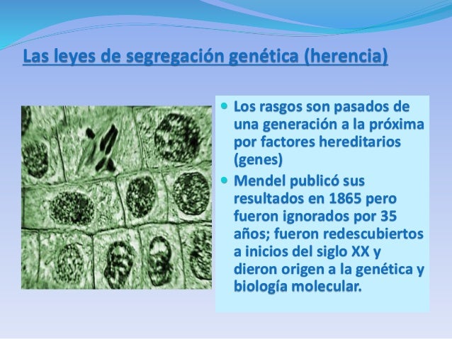 Principios unificadores de la biología
