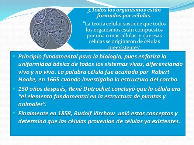 Principios unificadores de la biología