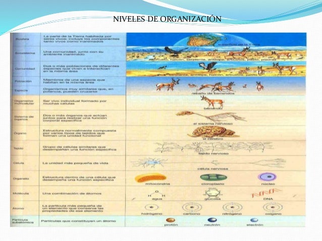 Principios unificadores de la biología