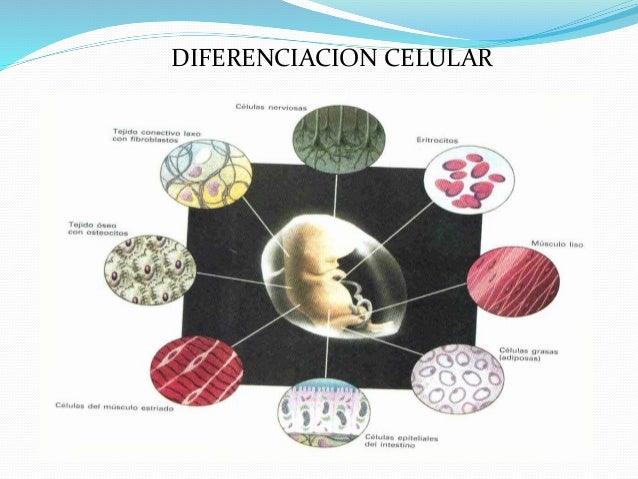 Principios unificadores de la biología