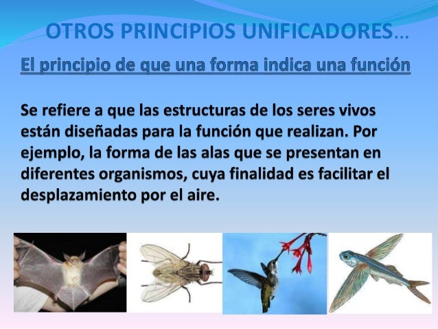 Principios unificadores de la biología