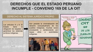 DERECHO AL SISTEMA JURÍDICO PROPIO
Los artículos 8 y 9: El
Estado tiene la
obligación de respetar y
garantizar los sistemas
jurídicos indígenas.
Aún persiste la criminalización del
derecho consuetudinario de los
pueblos indígenas, muchas veces
procesando y sentenciando por
largos años a autoridades
indígenas.
 