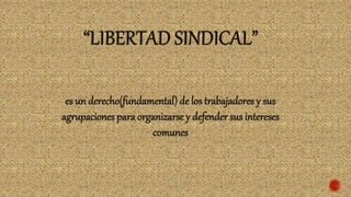 Principios y Fundamentos Laborales que Contempla la OIT