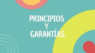 Principios y garantias.pptx
