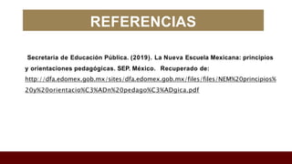 principios-y-orientaciones-ped-nem-pptx