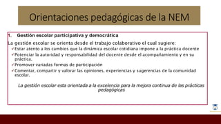 Principios y Orientaciones Ped. NEM.pptx