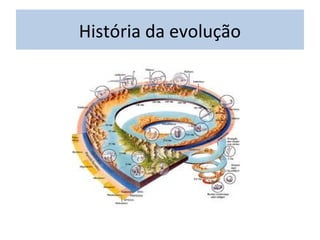 História da evolução
 