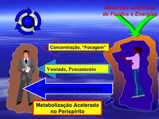 Absorção Acelerada
de Fluidos e Energias
Concentração, “Focagem”
Vontade, Pensamento
Transferência Energética
Metabolização Acelerada
no Perispírito
 