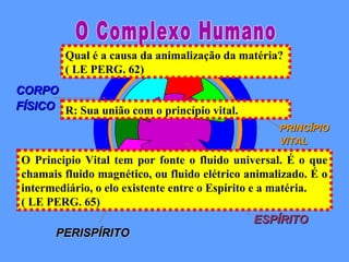 ESPÍRITOESPÍRITO
PERISPÍRITOPERISPÍRITO
PRINCÍPIOPRINCÍPIO
VITALVITAL
CORPOCORPO
FÍSICOFÍSICO
O Principio Vital tem por fonte o fluido universal. É o que
chamais fluido magnético, ou fluido elétrico animalizado. É o
intermediário, o elo existente entre o Espírito e a matéria.
( LE PERG. 65)
Qual é a causa da animalização da matéria?
( LE PERG. 62)
R: Sua união com o princípio vital.
 