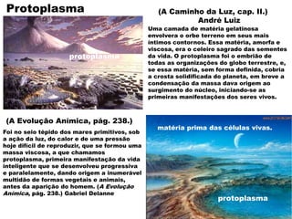 Foi no seio tépido dos mares primitivos, sob
a ação da luz, do calor e de uma pressão
hoje difícil de reproduzir, que se formou uma
massa viscosa, a que chamamos
protoplasma, primeira manifestação da vida
inteligente que se desenvolveu progressiva
e paralelamente, dando origem a inumerável
multidão de formas vegetais e animais,
antes da aparição do homem. (A Evolução
Anímica, pág. 238.) Gabriel Delanne
Uma camada de matéria gelatinosa
envolvera o orbe terreno em seus mais
íntimos contornos. Essa matéria, amorfa e
viscosa, era o celeiro sagrado das sementes
da vida. O protoplasma foi o embrião de
todas as organizações do globo terrestre, e,
se essa matéria, sem forma definida, cobria
a crosta solidificada do planeta, em breve a
condensação da massa dava origem ao
surgimento do núcleo, iniciando-se as
primeiras manifestações dos seres vivos.
(A Caminho da Luz, cap. II.)
André Luiz
(A Evolução Anímica, pág. 238.)
protoplasma
protoplasma
matéria prima das células vivas.
Protoplasma
 
