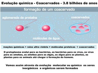Auto duplicação / metabolismo
reações químicas + raios ultra violeta = moléculas proteicas  coacervados
Evolução química - Coacervados - 3.8 bilhões de anos
O protoplasma evolui para as bactérias, as bactérias para os vírus, os vírus
para as amebas, as amebas para as algas, as algas para as plantas, as
plantas para os animais até chegar à formação do homem.
Vemos assim através da evolução molecular ou química os seres
inorgânicos e orgânicos serem formados
 
