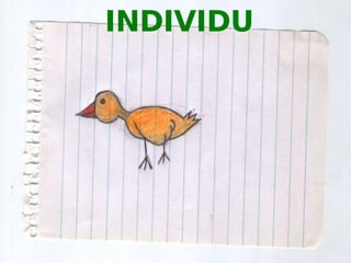 Principis bàsics d'ecologia