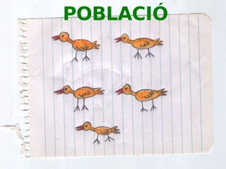 Principis bàsics d'ecologia